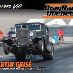 grise-martin
