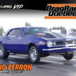 perron-gino