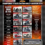 harley-3